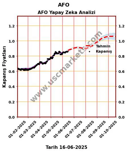 AFO hisse hedef fiyat 2024 AFO grafik