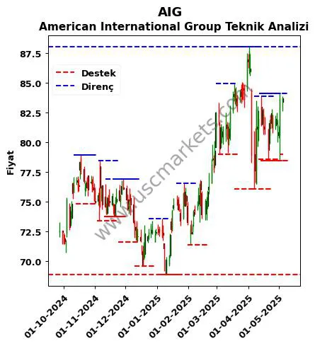 AIG fiyat-yorum-grafik