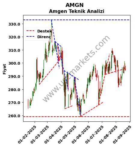 AMGN destek direnç Amgen teknik analiz grafik AMGN fiyatı