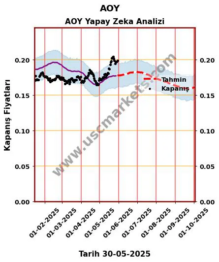 AOY hisse hedef fiyat 2024 AOY grafik