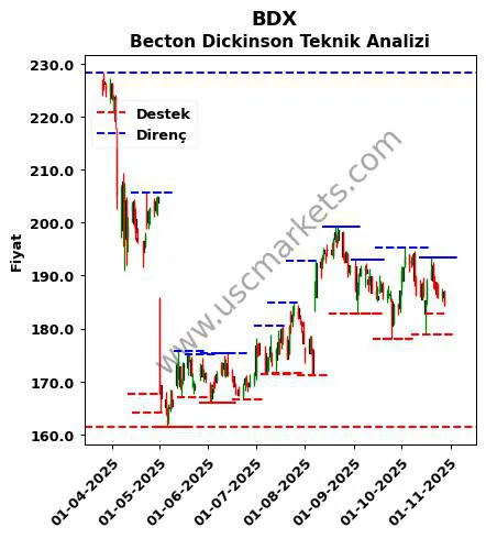 BDX fiyat-yorum-grafik
