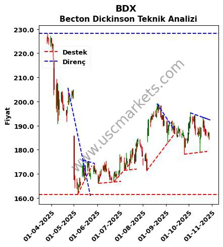 BDX destek direnç Becton Dickinson teknik analiz grafik BDX fiyatı