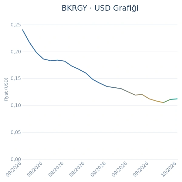 BKRGY Dolar Grafiği
