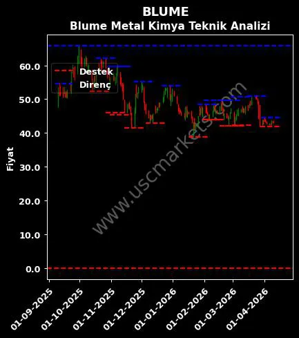 BLUME fiyat-yorum-grafik