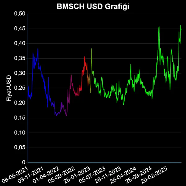 BMSCH Dolar Grafiği