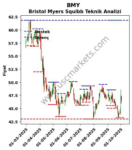 BMY fiyat-yorum-grafik
