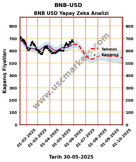 BNB-USD hisse hedef fiyat 2024 BNB USD grafik