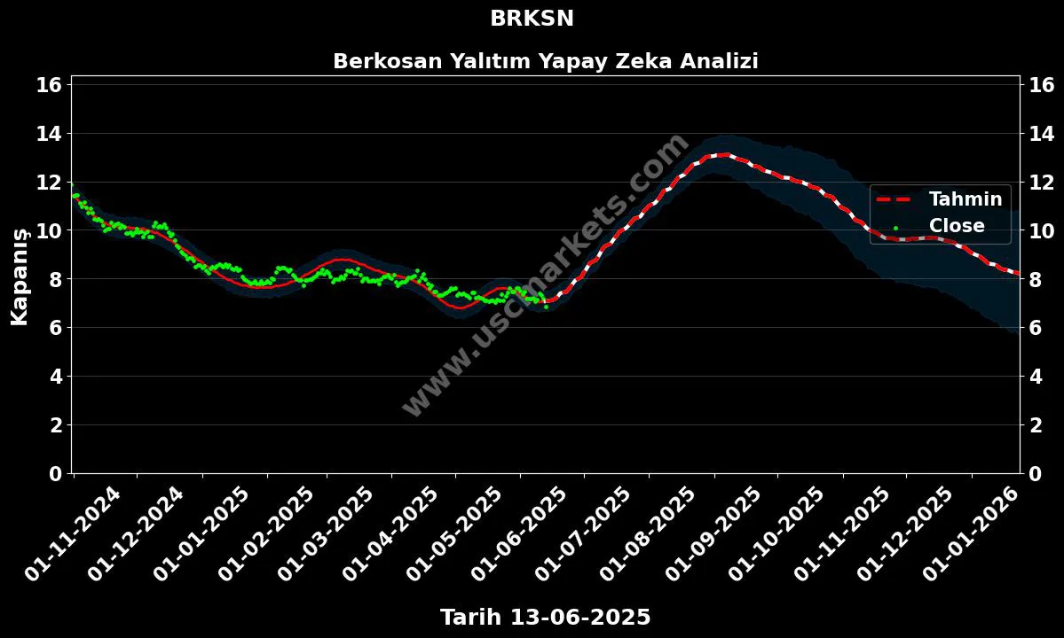 BRKSN hisse hedef fiyat 2024 Berkosan Yalıtım grafik