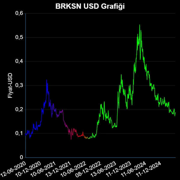 BRKSN Dolar Grafiği