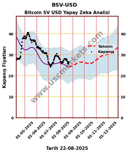 BSV-USD hisse hedef fiyat 2024 Bitcoin SV USD grafik