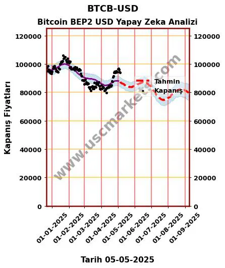 BTCB-USD hisse hedef fiyat 2024 Bitcoin BEP2 USD grafik
