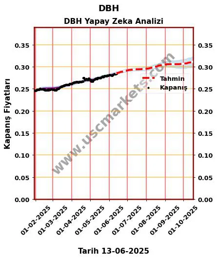 DBH hisse hedef fiyat 2024 DBH grafik