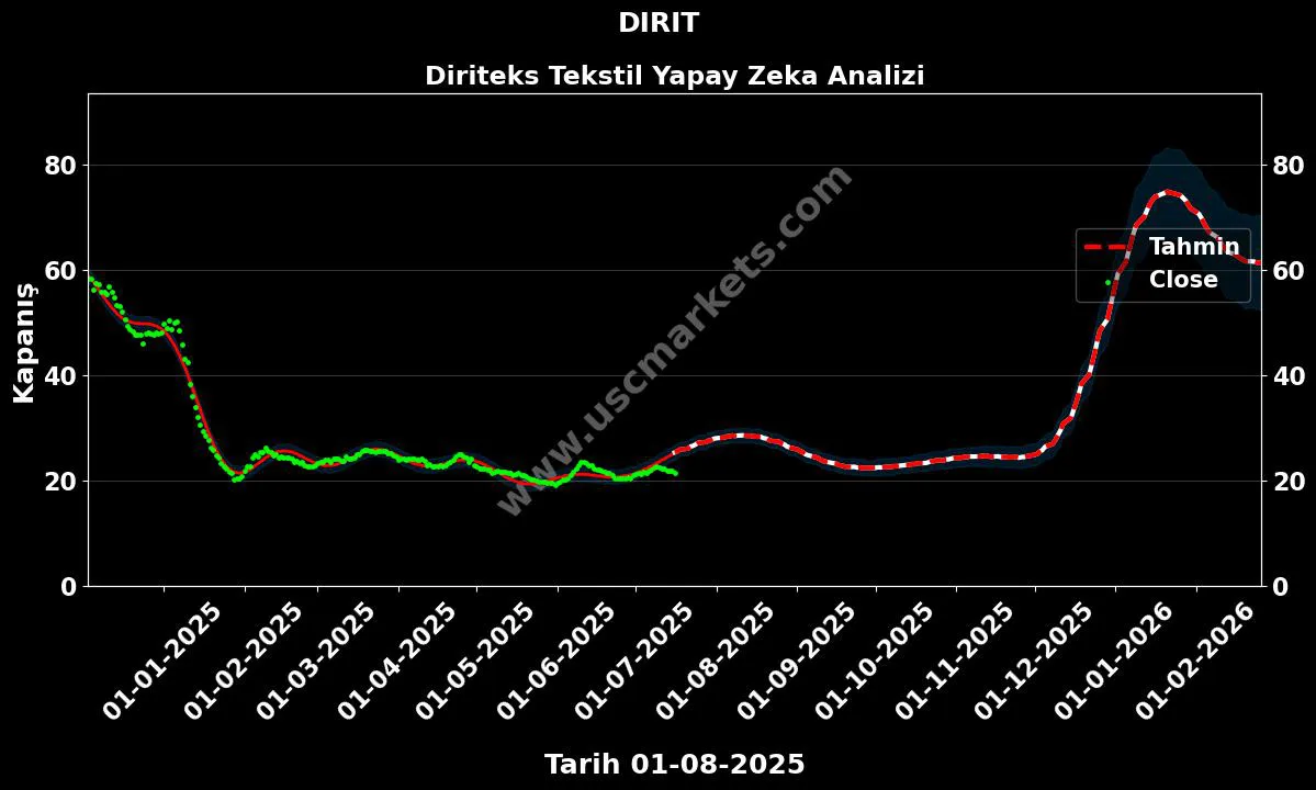DIRIT hisse hedef fiyat 2024 Diriteks Tekstil grafik