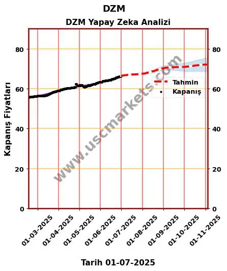 DZM hisse hedef fiyat 2024 DZM grafik