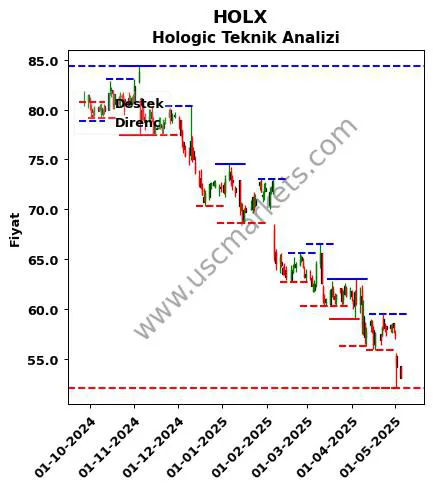 HOLX fiyat-yorum-grafik