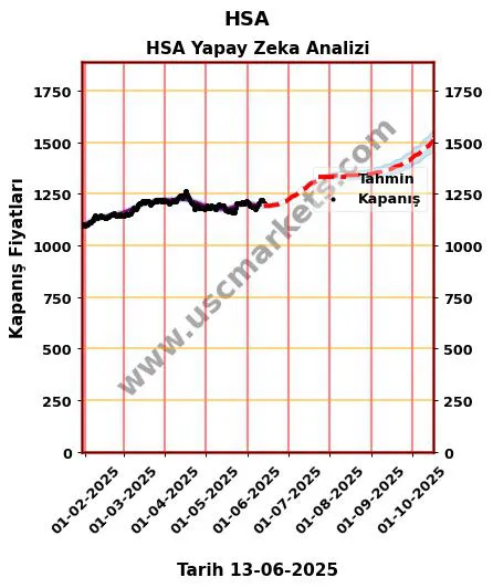 HSA hisse hedef fiyat 2024 HSA grafik