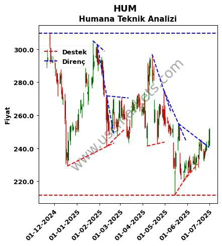 HUM destek direnç Humana teknik analiz grafik HUM fiyatı