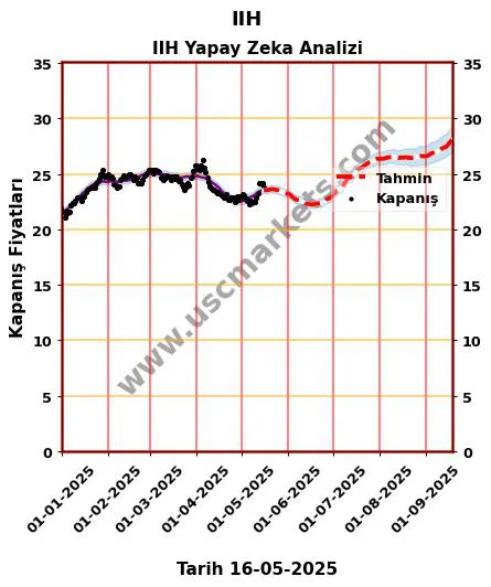 IIH hisse hedef fiyat 2024 IIH grafik