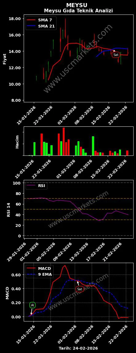 MEYSU al veya sat Meysu Gıda grafik analizi MEYSU fiyatı