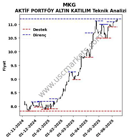 MKG fiyat-yorum-grafik