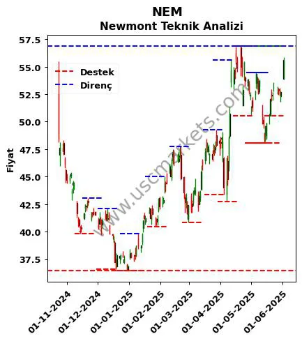 NEM fiyat-yorum-grafik