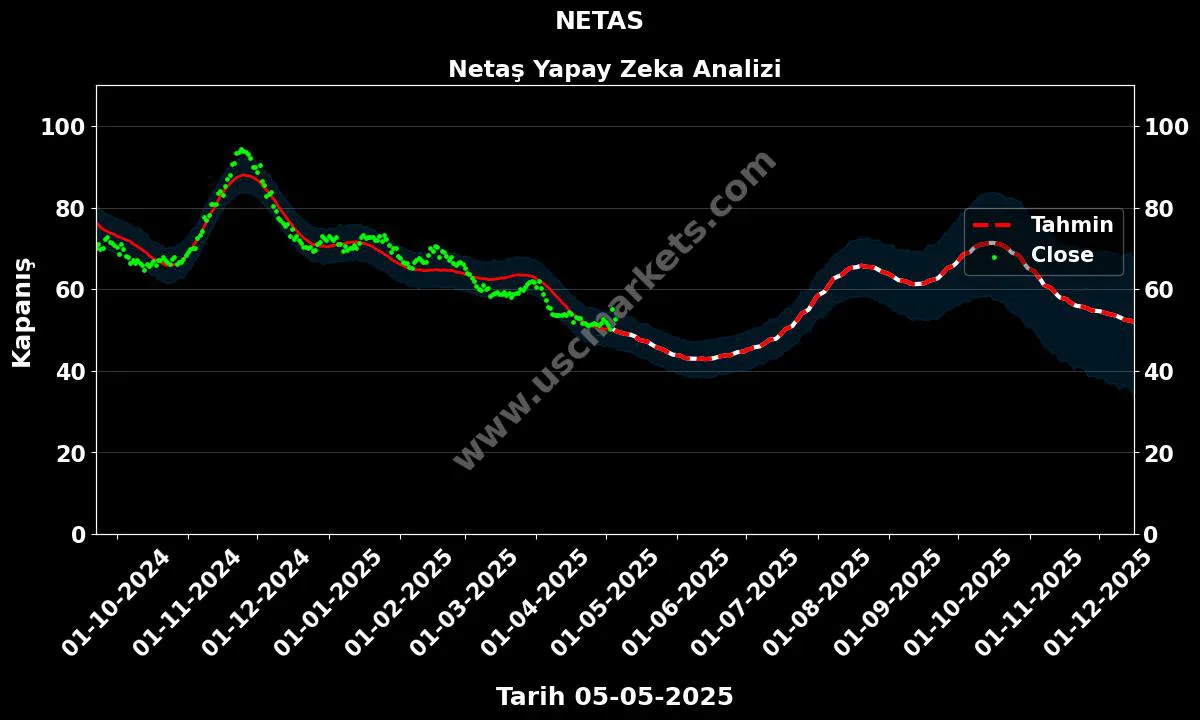 NETAS hisse hedef fiyat 2024 Netaş grafik