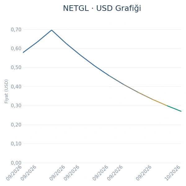 NETGL Dolar Grafiği