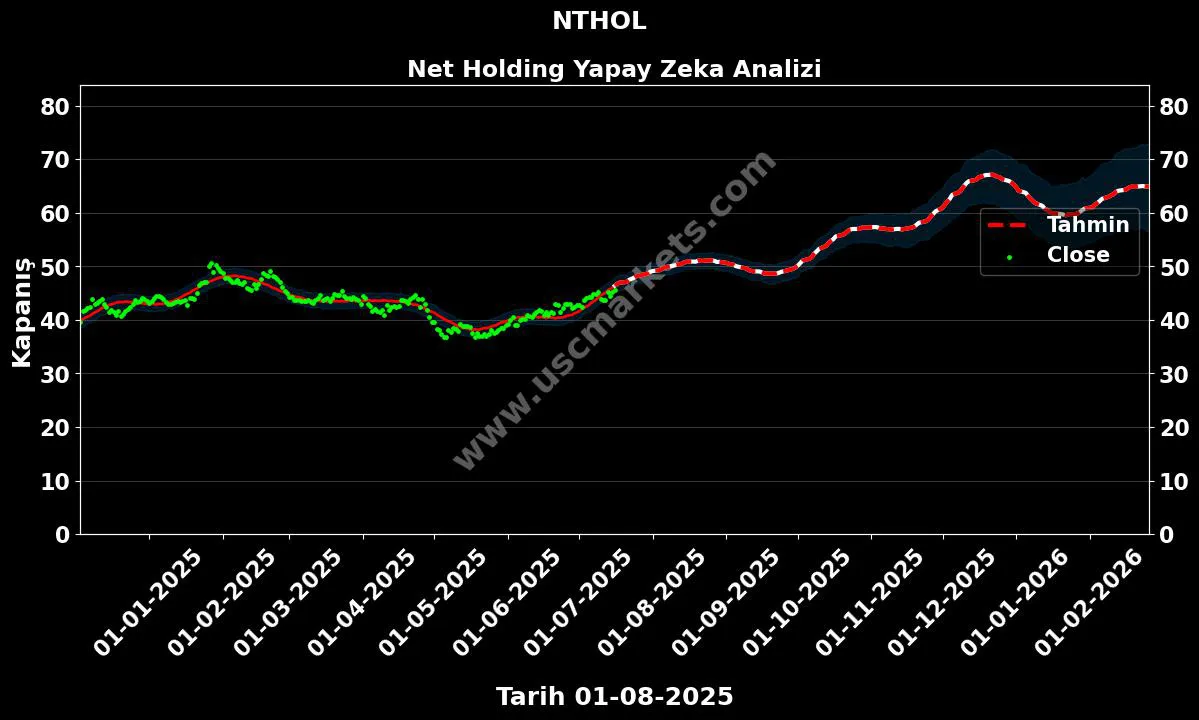 NTHOL hisse hedef fiyat 2024 Net Holding grafik