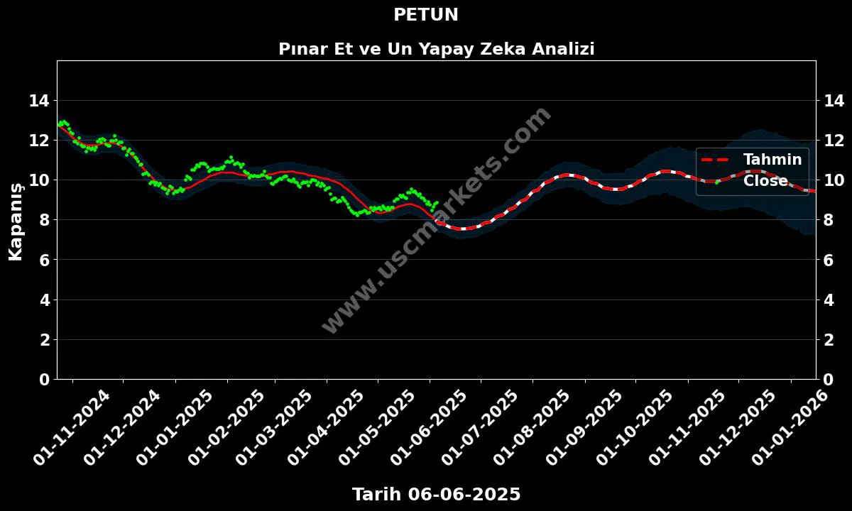 PETUN hisse hedef fiyat 2024 Pınar Et ve Un grafik