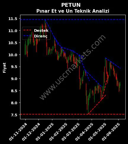PETUN destek direnç PINAR ENTEGRE ET teknik analiz grafik PETUN fiyatı
