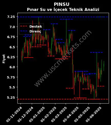 PINSU fiyat-yorum-grafik