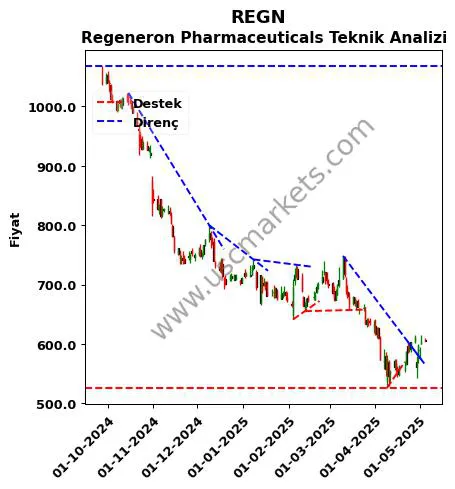 REGN destek direnç Regeneron Pharmaceuticals teknik analiz grafik REGN fiyatı