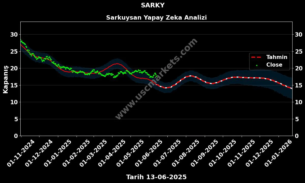 SARKY hisse hedef fiyat 2024 Sarkuysan grafik