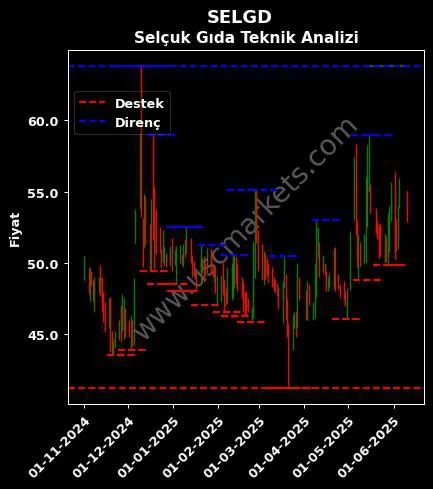 SELGD fiyat-yorum-grafik
