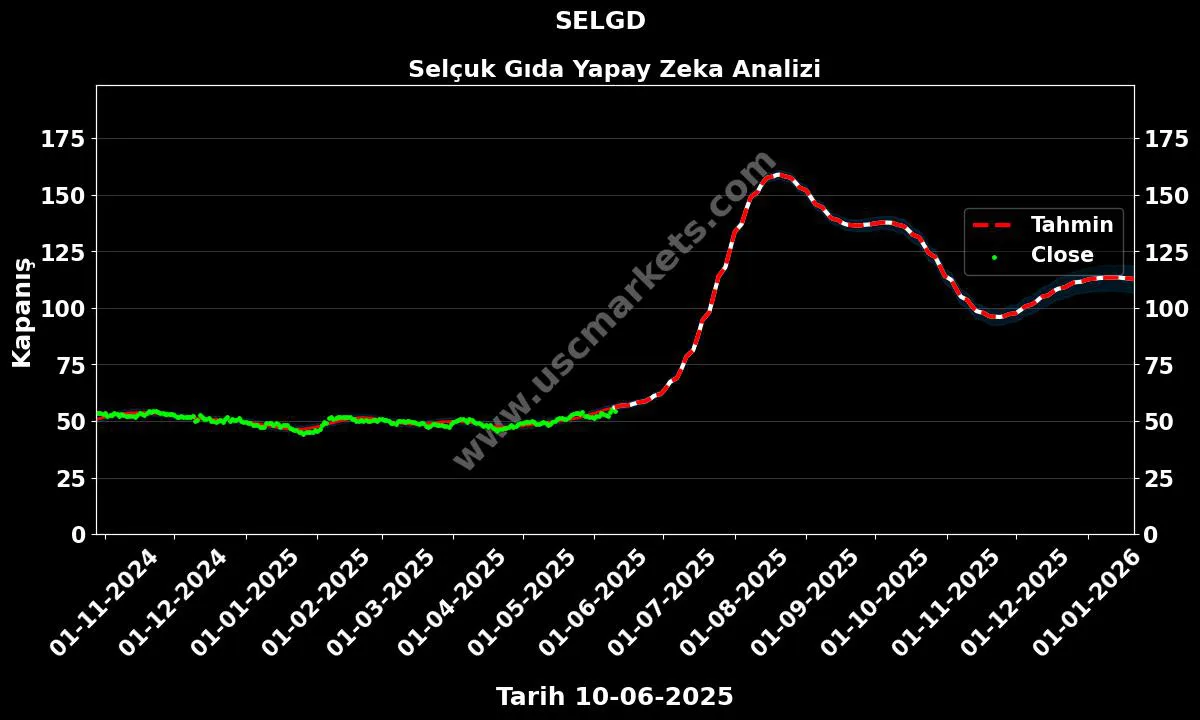 SELGD hisse hedef fiyat 2024 Selçuk Gıda grafik