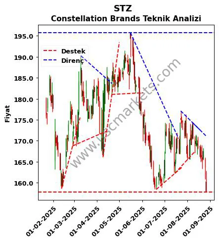 STZ destek direnç Constellation Brands teknik analiz grafik STZ fiyatı
