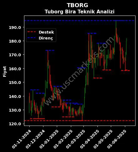 TBORG fiyat-yorum-grafik