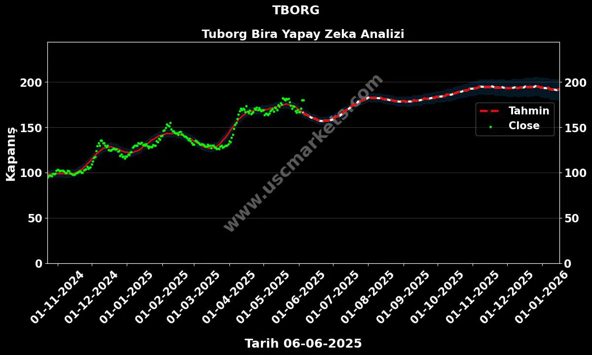 TBORG hisse hedef fiyat 2024 Tuborg Bira grafik