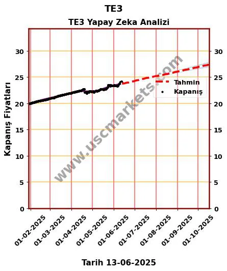 TE3 hisse hedef fiyat 2024 TE3 grafik