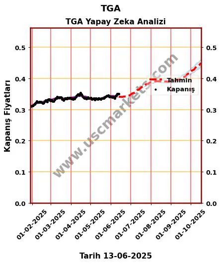 TGA hisse hedef fiyat 2024 TGA grafik