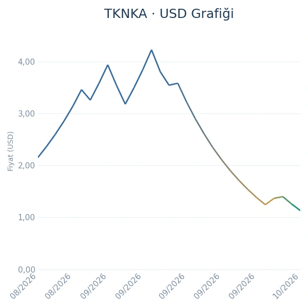 TKNKA Dolar Grafiği