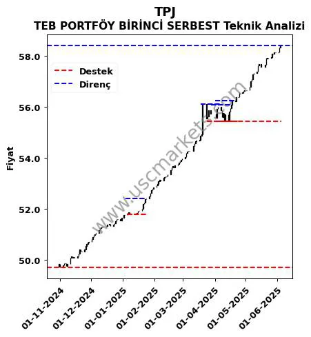 TPJ fiyat-yorum-grafik