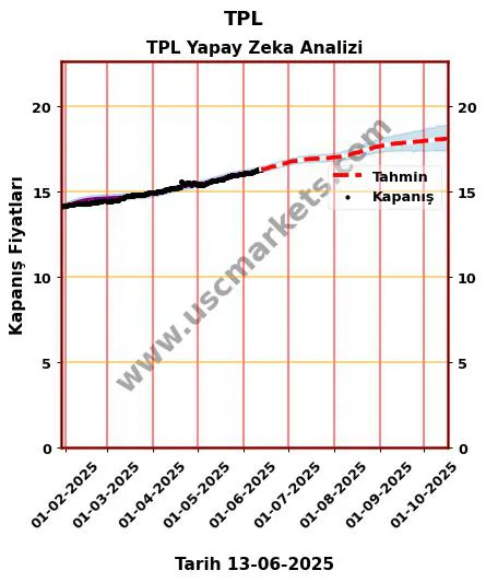 TPL hisse hedef fiyat 2024 TPL grafik