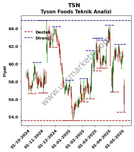 TSN fiyat-yorum-grafik
