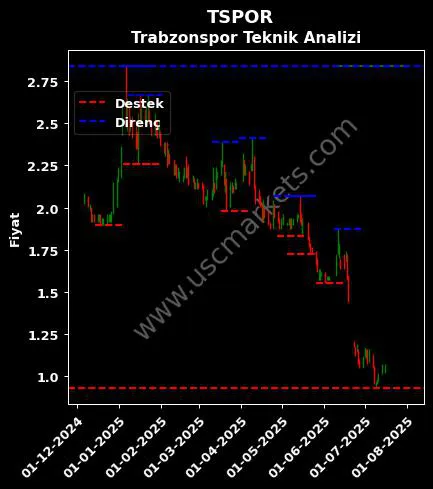 TSPOR fiyat-yorum-grafik