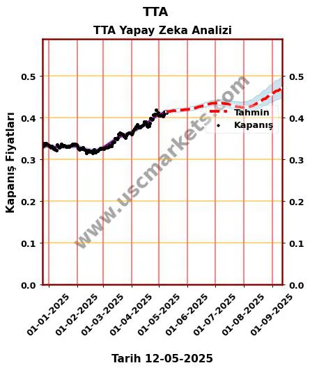TTA hisse hedef fiyat 2024 TTA grafik