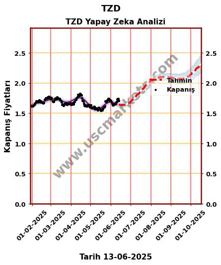 TZD hisse hedef fiyat 2024 TZD grafik