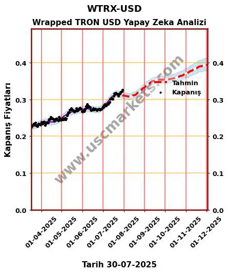 WTRX-USD hisse hedef fiyat 2024 Wrapped TRON USD grafik