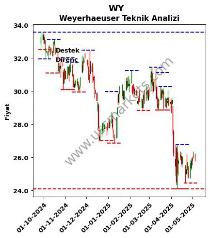 WY fiyat-yorum-grafik