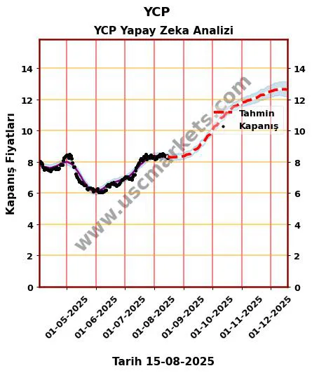 YCP hisse hedef fiyat 2024 YCP grafik